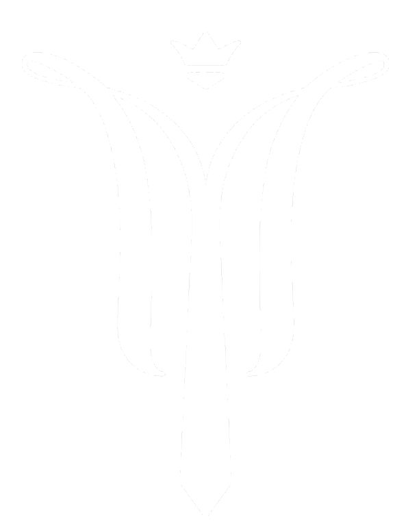 Vinzeres Company Logo