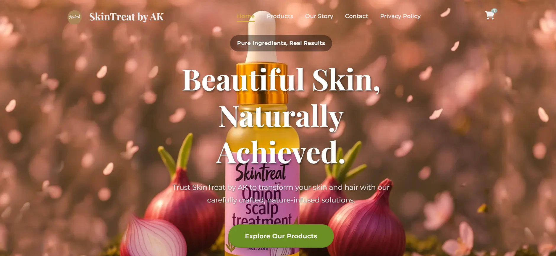 Screenshot of Project Nova Solutions